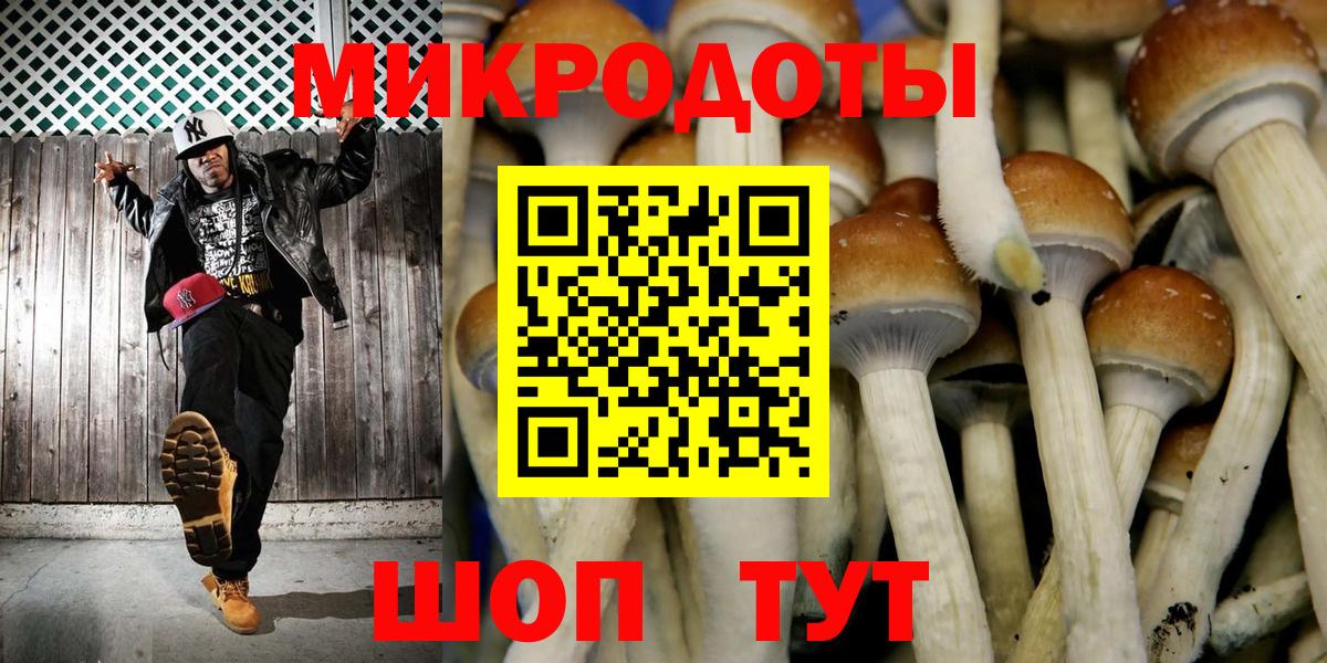 Псилоцибиновые грибы прущие грибы Большой Камень